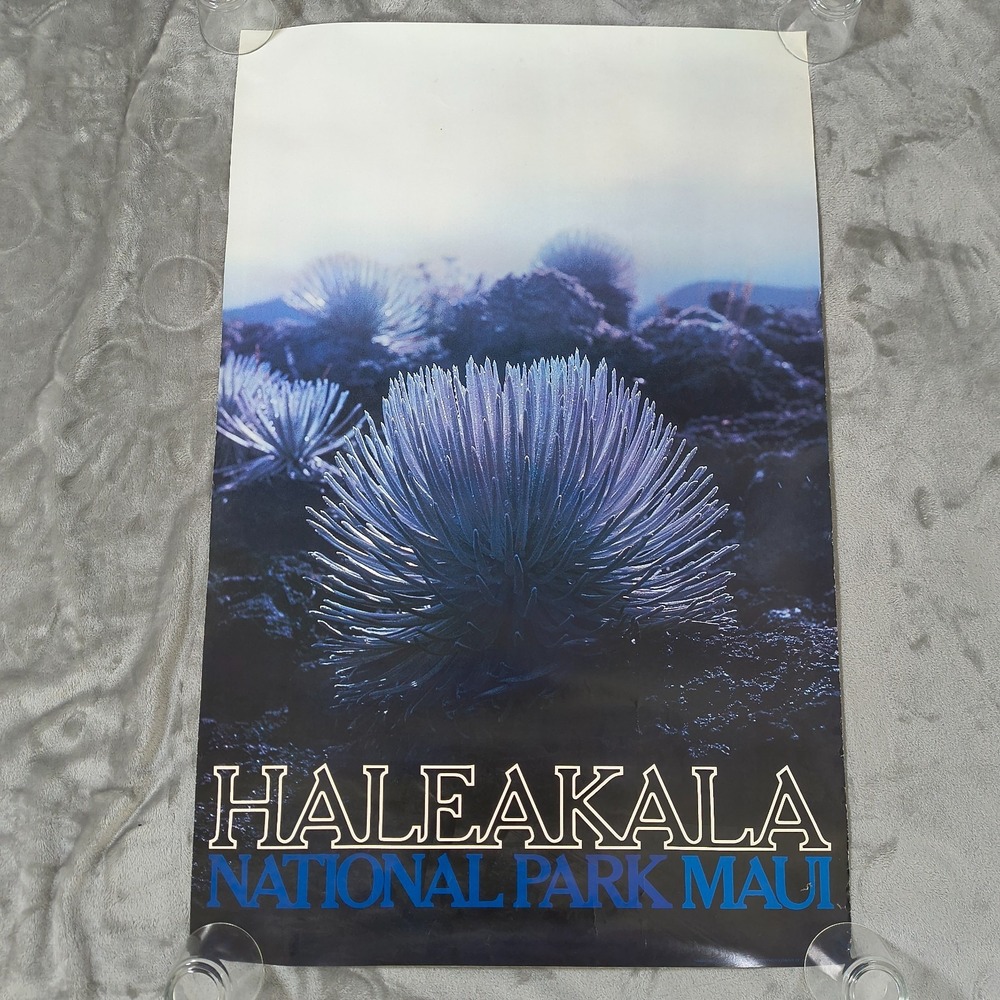 Vintage Maui Poster Haleakala National Park Hawaii Island 34x22 Botanical Plants